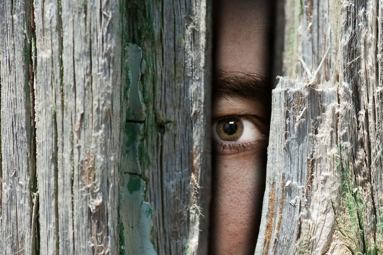 Peeping Tom Innovate Tax